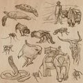 Animals - hand drawn vector pack Royalty Free Stock Photo