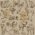 Animals - Hand drawn vector pack Royalty Free Stock Photo