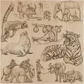 Animals - an hand drawn vector pack, collection.