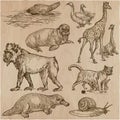 Animals - An hand drawn vector pack, line art