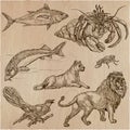Animals - An hand drawn vector pack, line art