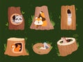 Animals hollow. Wood forest trees with holes for wild animals houses vector cartoon collection