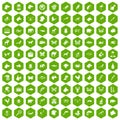 100 animals icons hexagon green