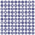 100 animals icons hexagon purple