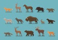 Animals icons. Wild boar