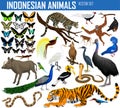 Animals of Indonesia and Indochina - vector set Royalty Free Stock Photo