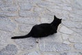 A black cat lies on a stone road in the old town of Lindos, Rhodes, Greece Royalty Free Stock Photo