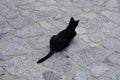 A black cat lies on a stone road in the old town of Lindos, Rhodes, Greece Royalty Free Stock Photo