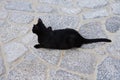 A black cat lies on a stone road in the old town of Lindos, Rhodes, Greece Royalty Free Stock Photo