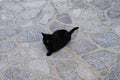 A black cat lies on a stone road in the old town of Lindos, Rhodes, Greece