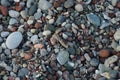 Sphingonotus caerulans is found on a Mediterranean beach on rocks in September. Pefkos or Pefki, Rhodes Island, Greece