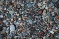 Sphingonotus caerulans is found on a Mediterranean beach on rocks in September. Pefkos or Pefki, Rhodes Island, Greece