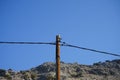 Streptopelia decaocto bird sits on a wooden electricity pole in August. Rhodes Island, Greece Royalty Free Stock Photo