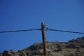 Two Streptopelia decaocto birds sit on a wooden electricity pole in August. Rhodes Island, Greece Royalty Free Stock Photo