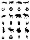 Animals and its traces siluets