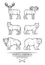 Animals in North America.
