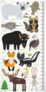 Animals of North America - narwhal polar bear fur seal raccoon skunk fox eagle bison elk gannet hare. Children height meter wall