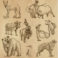 Animals pack 8