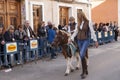 Animals parading through the streets