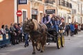 Animals parading through the streets