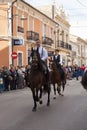 Animals parading through the streets