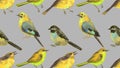 set of watercolor birds, the beauty and allure of birds, repeated pattern Royalty Free Stock Photo