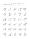 Animals pixel perfect linear icons set