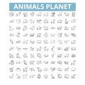 Animals planet icons, line symbols, web signs, vector set, isolated illustration