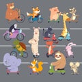 Animals on road cartoon funny animals running bicycles