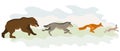 Animals running after each other. Hare, fox, wolf, bear. Vector isolated illustration. Vector isolated illustration.