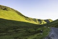 Animals on rural road in scenic mountain valley,Uk. Royalty Free Stock Photo