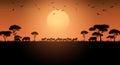 Animals savannah. Landscape africa. Sunset Safari. Vector illustration Royalty Free Stock Photo