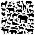 Animals silhouette Big Set Royalty Free Stock Photo