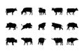 Animals silhouettes vector icons set. Isolated outline of animals cow, boar, buffalo on a white background. Vector animals symbol Royalty Free Stock Photo