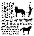 Animals silhouettes collection on white Royalty Free Stock Photo