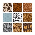 Animals skin pattern. Zoo seamless backgrounds collection of zebra tiger giraffe snake skins vector set Royalty Free Stock Photo