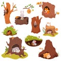 Animals sleep in holes. Cute cartoon animal in burrow. Funny squirrel, bat and bunny, red fox and little mouse. Woodland Royalty Free Stock Photo