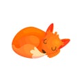 Cute sleeping fox