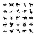 Animals Solid Icons Royalty Free Stock Photo
