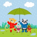 Animals at spring rain. Cute panda, leopard, mouse and frog stand together under giant umbrella. Funny friends, classy