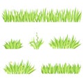 Set of different horizontal compositions of grass. Isolated garden lawn on a white background