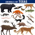 animals of Texas: black bear, puma, lynx, deer, skunk, bat, Bass fish, armadillo, fox, Mockingbird, barn owl, garter snake, opos