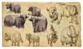 Animals, theme: BOVIDAE (cows, bisons, yak, buffalo). Vector pac