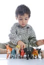 Animals toys isolated and kid Royalty Free Stock Photo
