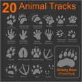 Animals Tracks - vector set