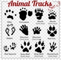 Animals Tracks - vector set