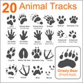 Animals Tracks - vector set