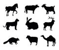 Animals various types isolated vector Silhouette Royalty Free Stock Photo