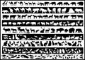 Animals vectors Royalty Free Stock Photo