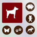 Animals vectors, icons, illustrations, red and brown backkckground